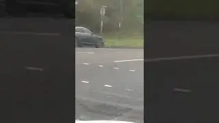 Sheep on the run from police #automobile #funny #police #sheep
