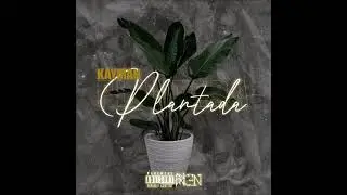 KAYMAN - Plantada (Audio)