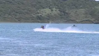 Акул в море стало еще больше
