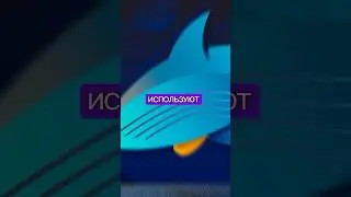 КАК КРИПТОКИТЫ АНОНИМНЫ💻🤫