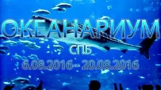 Поездка в Санкт-Петербург. Океанариум.