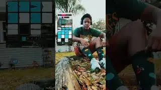 Koala 🐨 sampler & A tribe called quest  (flip)