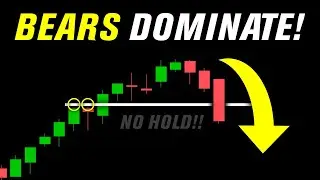 How to Spot The Weekly Trend REVERSAL