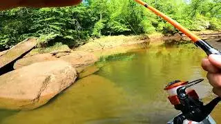 Chattahoochee basshole