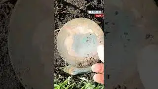 МЕДНЫЕ ПЯТАКИ 👍. Раскопки металлолома на свалке.