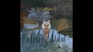 Warrior Cats топ!;3
