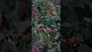 Тогда мне не кто не ответил.!