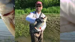БОЛЬШИЕ ГОЛАВЛИ Реки ОКИ