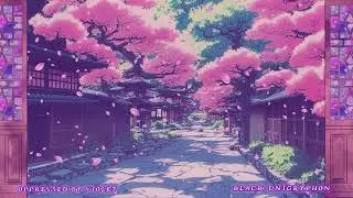 Sakura Bloom Street 001