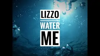 Lizzo - Water Me - I Am Free Walmart Song (Walmart Black Friday Song)
