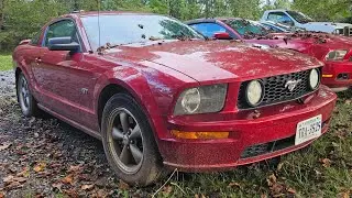 How to unlock a s197 mustang without the key
