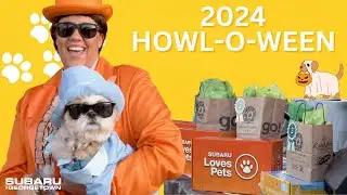 Howl-O-Ween at MUTTS 2024 | Subaru of Georgetown and Austin Animal Center