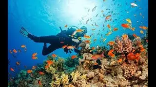 My first time diving Hurgada, Egypt
