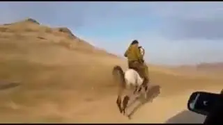 Нағыз айғыр