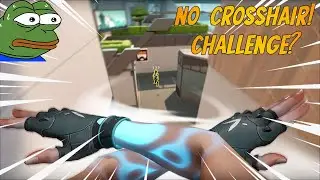 Valorant!!!! But No With No Crosshair | Valorant funny challenges