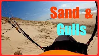 Sand & Gulls