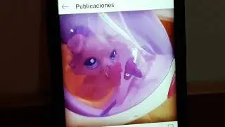 LPS-imitando fotos de instagram ;3