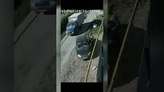 кот не пускает проехать машине