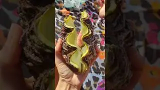 Дары Красного моря 🌊