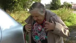 Автопутешествие  в сторону п. Ропша, Ленинградской области.