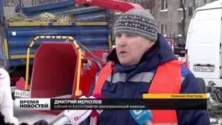 вторая жизнь новогодней елки