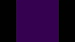 Bot1500 - WB