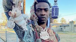 Bankroll Freddie - Like A Zebra Ft. Pooh Shiesty [Music Video]