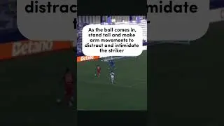 Peru vs Canada | Copa America 2024 | Goalkeeper Analysis