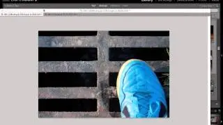 Adobe Photoshop CS5: Selections Part 1