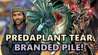 Predaplant Branded Tearlaments Ishizu Bystial Dragoon Deck Profile! | Fusion Pile Deck | 2023