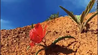 Неповторимая красота Кыргызской земли. Подпищитесь./Эржанмедиа