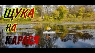 ЩУКА НА ЖЕРЛИЦЫ И КРУЖКИ И ПОСТАВУШКИ ОСЕНЬЮ! КАК ПОЙМАТЬ ЩУКУ В ЗАРОСШИХ ВОДОЕМАХ! 24 ЧАСА ЗА ЩУКОЙ