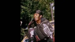 [FREE] Playboi Carti x Pi'erre Bourne Type beat - 