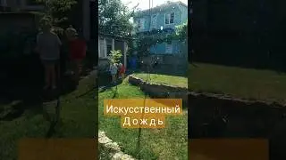 Спасаем газон от засухи! #газон #дождь #дождик #chill #music #семья #diy #shorts #деревня #идея