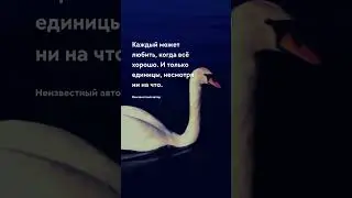 Каждый может любить Цитаты про любовь 