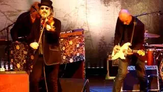 The Waterboys -  Fisherman's Blues, Dublin 2015 [HD]
