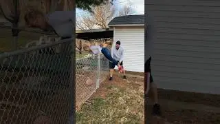 Not the best idea 😂 