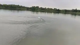 Корабль клиенту