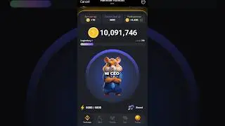 Collect your revenue every 3 hours HAMSTER KOMBAT