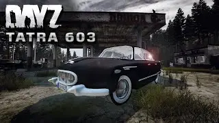 Tatra 603 in DayZ Game