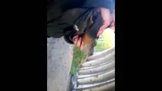 Угар с дымовухой