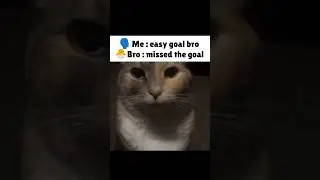 Literally Me When Bro Miss The Easy Goal , 👺 