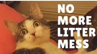 No More Cat Litter Mess!!