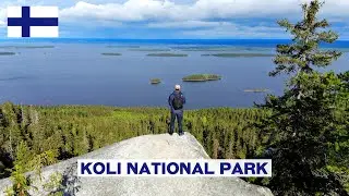 I Fell in Love with FINLAND | KOLI NATIONAL PARK 🇫🇮