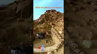 Egypt! Excursion to Mount Moses #egypt  #mountmoses #sharmelsheikh
