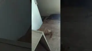 Mais um dia pra eu e vocês no paraíso