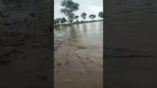 Monsoon Rain in Sindh Pakistan #rain #sindh #pakistan