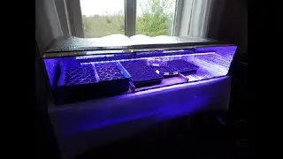 ДОМИК ДЛЯ РАССАДЫ. ЖЕНСКИЙ ВАРИАНТ!!! СДЕЛАЛА ИЗ КОРОБОК.