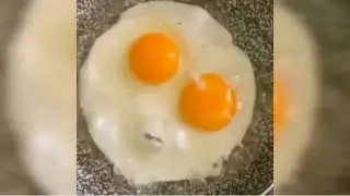 Trust me this egg can Rap || egg rap god || try not to laugh