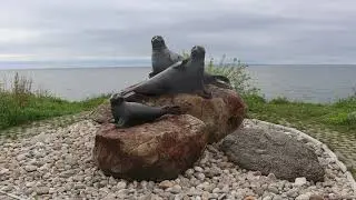 Байкал 2021 г